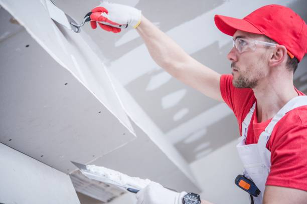 Best Drywall Installation  in Rochester, PA